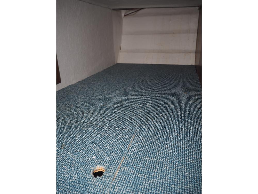 Fore ship, Accommodation